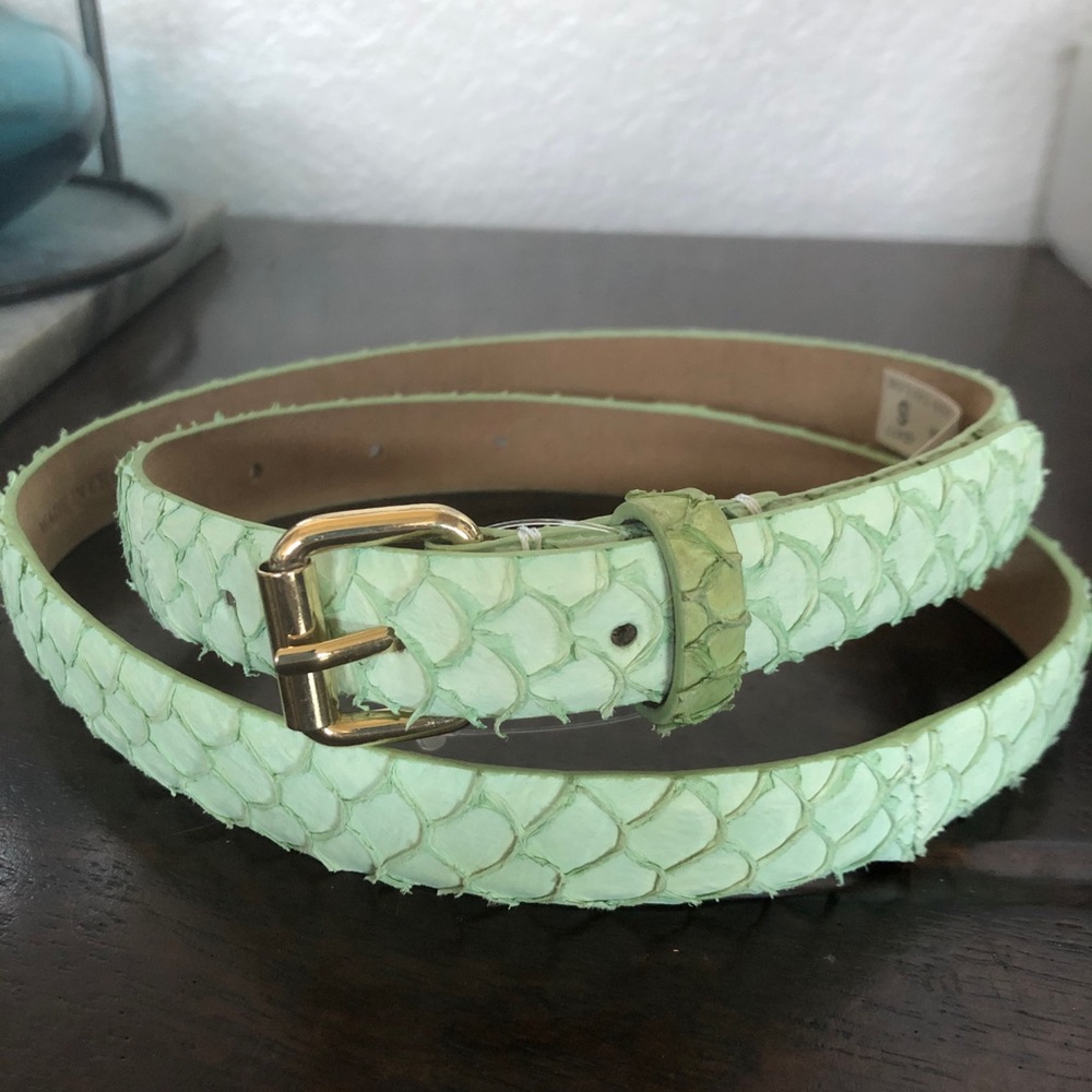 Ann Taylor Light Mint Green Textured Leather Belt with Gold Buckle